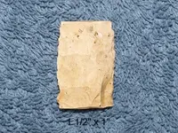 P7172595.webp