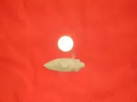 student pictures 005.webp