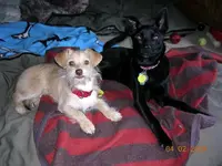 DSCN2538.webp