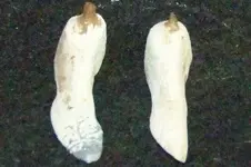 Lead doll shoes.webp