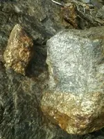 Gold.webp