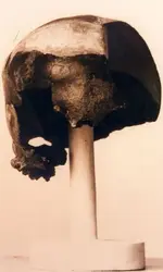 VeroSkullCast.webp
