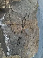 0602161623.webp