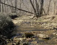 1D8E2855-706F-49AC-BF07-FA5BD0C4A437.webp