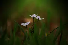 IMG_3513_2400.webp