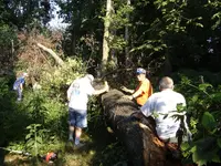 DSC00084.webp
