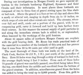 Morgan Co Gold-1.webp