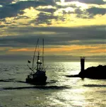 crab boat.webp