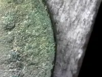 S20210320_0020.webp