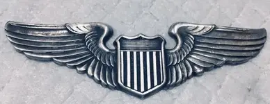 Wings 1.webp