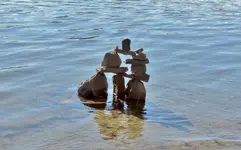 K1600_DSCN1243.webp