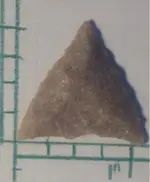 Number5PofileB-2Scale.webp