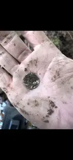 ImageUploadedByTreasureNet.com1612737007.684436.webp