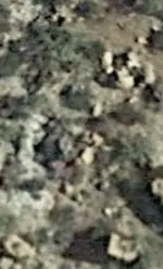 Screenshot_20210220-173157.webp