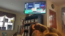 20210207_142606.webp