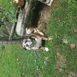 20200806_123039.webp