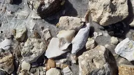 20181224_105317.webp