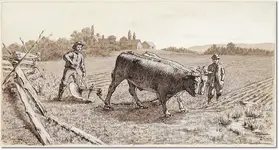 Ploughing_with_Oxen.webp