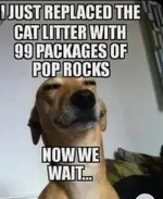 C064CF9F-C7D9-4D02-8262-D8FA6362C4EE.webp