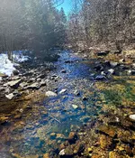 20210321_135531.webp