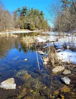 20210321_135522.webp