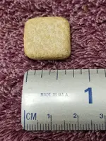 brasschicklet.webp
