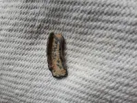 20210208_104048.webp