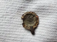 20210208_104112.webp
