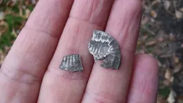 20210125_093145.webp