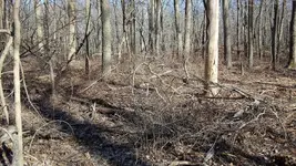 20210321_161533.webp