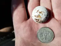 1715_musket Ball.webp