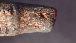 Bi-metalBarW-OrangeHandleLighterMetalTipVClose13Crimps.webp Bi-metalBarW-OrangeHandleLighterMetalTipVClose13Crimps.webp