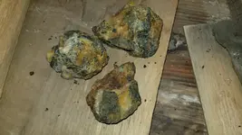 20210218_151039.webp