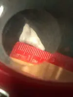 benjamins tooth find 1.webp