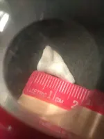 benjamins tooth find 2.webp