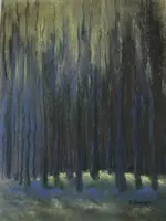 412A89B9-C00D-4ADF-B4CA-D52D98FEAE4F.webp