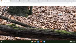 Screenshot 2021-01-15 at 6.34.52 PM.webp