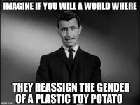 Twilite ZONED.webp