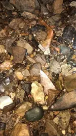 ImageUploadedByTreasureNet.com1610761387.504749.webp