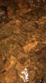 ImageUploadedByTreasureNet.com1610761471.365525.webp