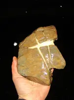 IMG_20210208_193311.webp