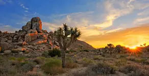Joshua Tree National Park California.jpg Joshua Tree National Park California.jpg