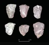 Clovis scrapers.webp