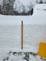 Snow1.webp