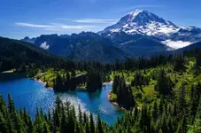 mount-rainier-national-park.jpg