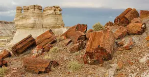 Petrified-Forest-National-Park-Arizona.jpg