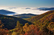 Virginia-Skyline-Drive-Shenandoah-National-Park.jpg