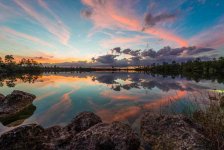 Everglades National Park  Florida.jpg