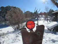 Cold shaman.webp