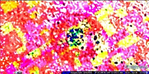 EC0426C8-D82E-4F3E-99F6-5E096E8BBCE8.webp